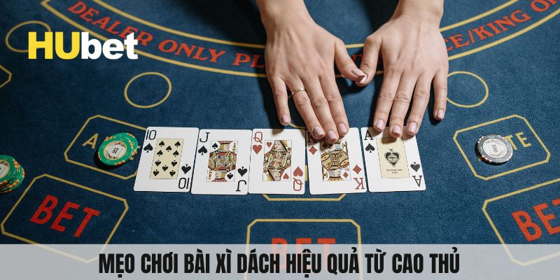 Một số thuật ngữ cần nắm 