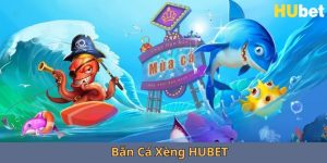 ban-ca-xeng-HUBET