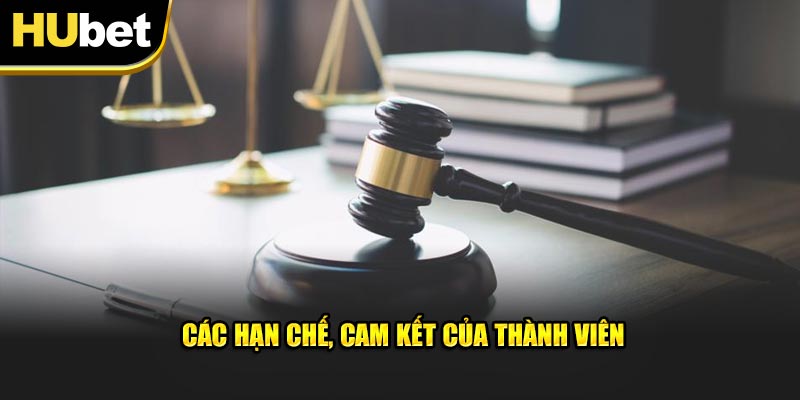 Các hạn chế, cam kết của thành viên trong điều khoản và điều kiện