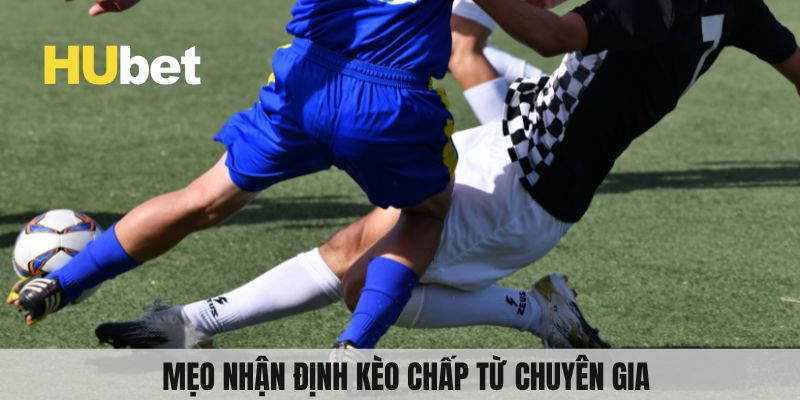 Mẹo nhận định từ chuyên gia